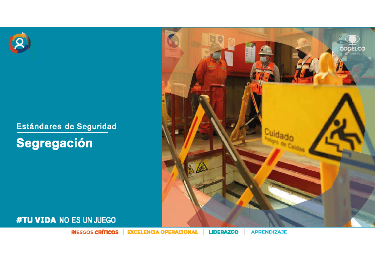 Estandar Segregacion - Seguridad y Riesgos del Trabajo - Studocu