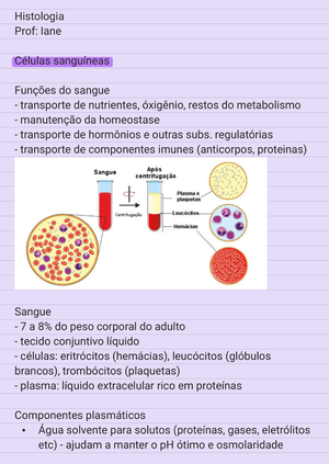 Tecido Epitelial - Resumo Histologia - TECIDO EPITELIAL PARA RELEMBRAR ...