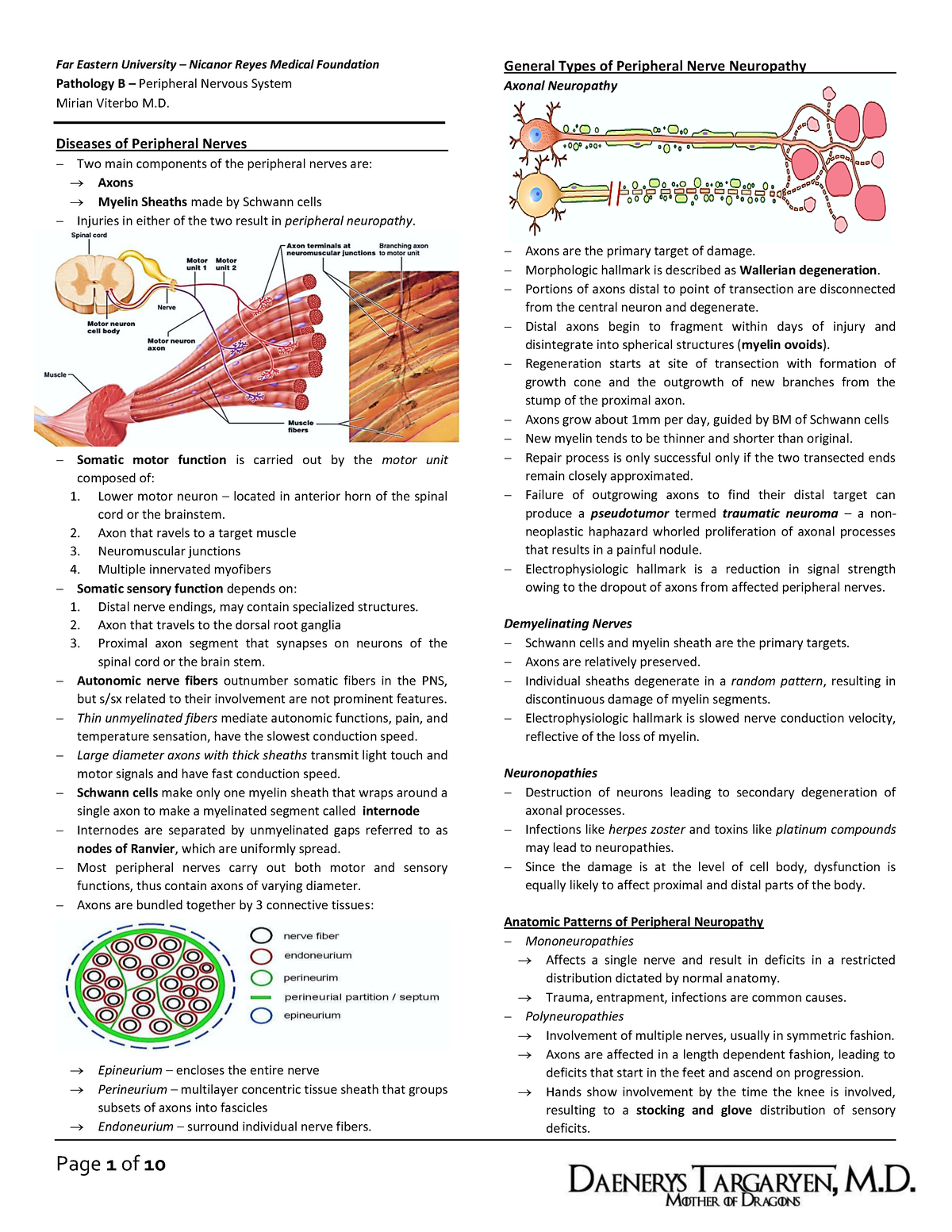 Peripheral Nervous System - Far Eastern University – Nicanor Reyes ...