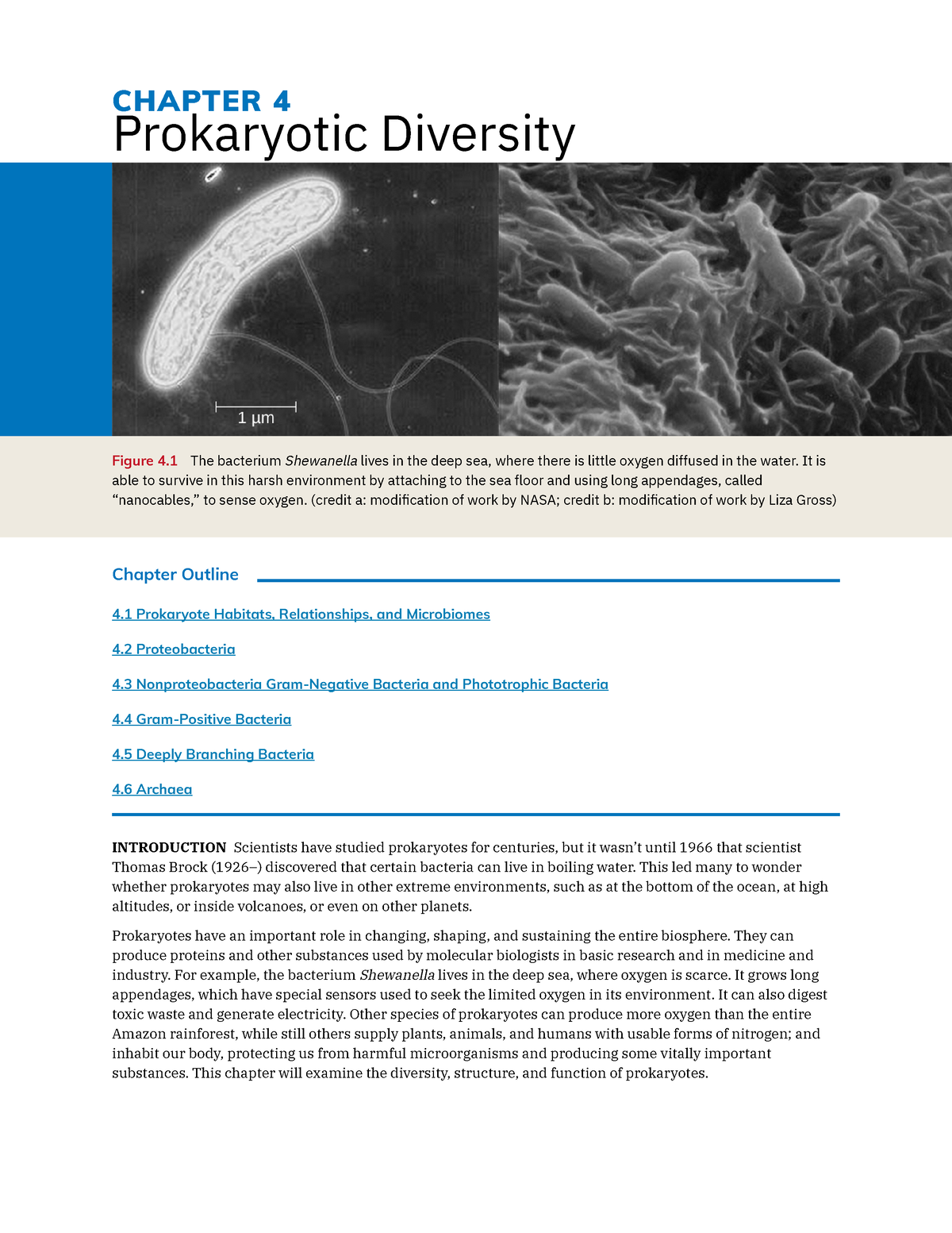 Chapter 4 Textbook INTRODUCTION CHAPTER 4 Prokaryotic Diversity 4 