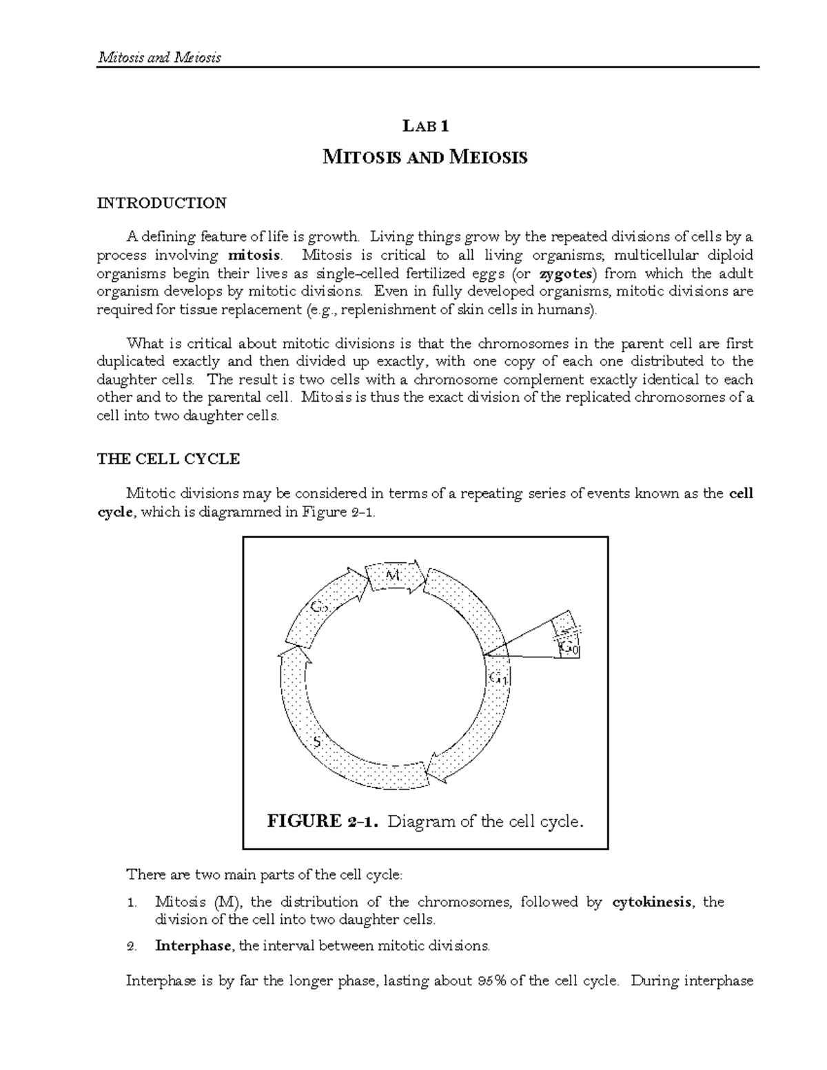 Lab 1 Meiosis and Mitosis r - LAB 1 MITOSIS AND MEIOSIS INTRODUCTION A ...