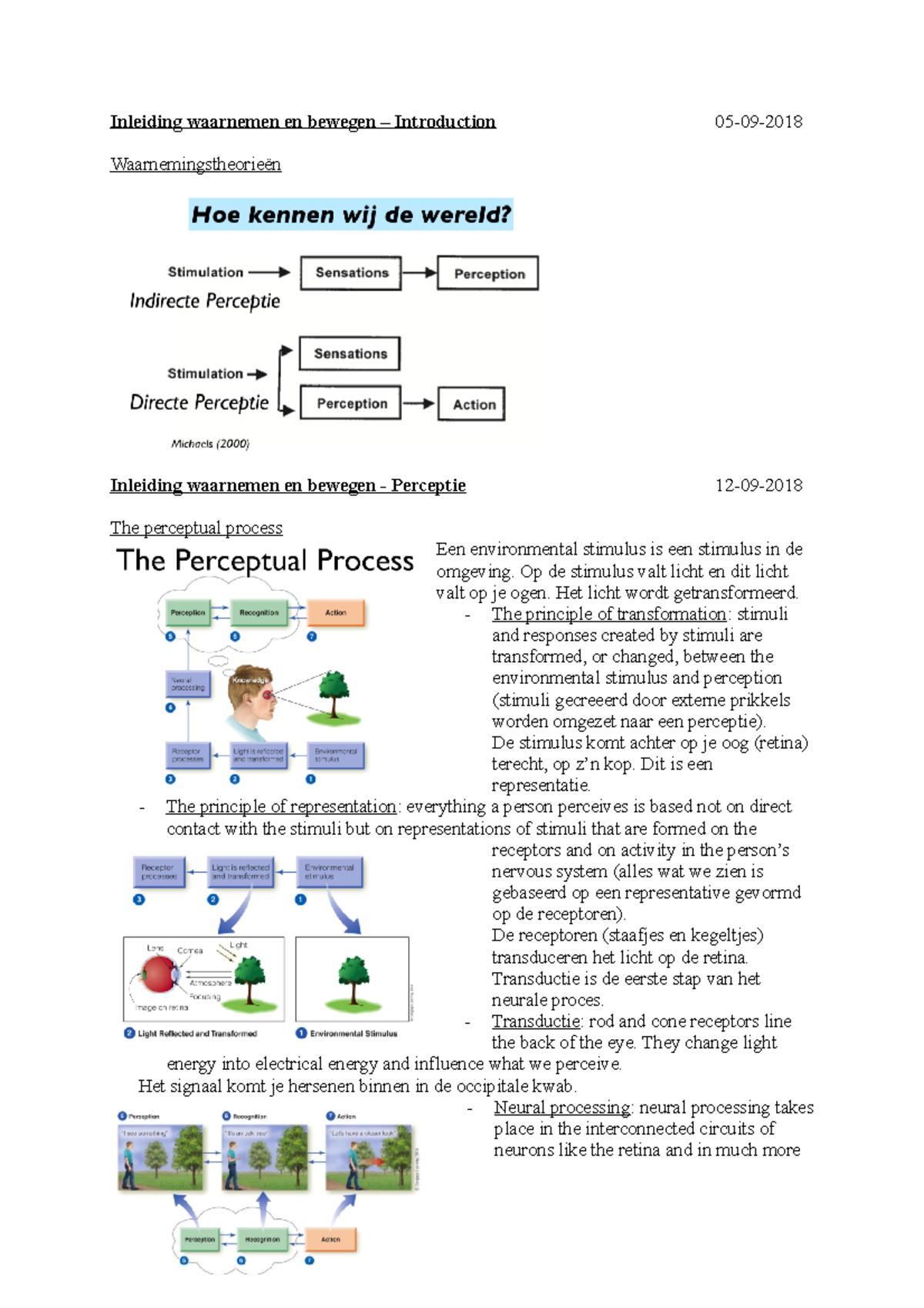 Samenvatting Hoorcolleges - Inleiding Waarnemen & Bewegen - Inleiding ...