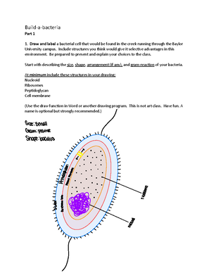 Chapter 4 Study Guide - Chapter 4 Brief Summary This chapter focuses on ...