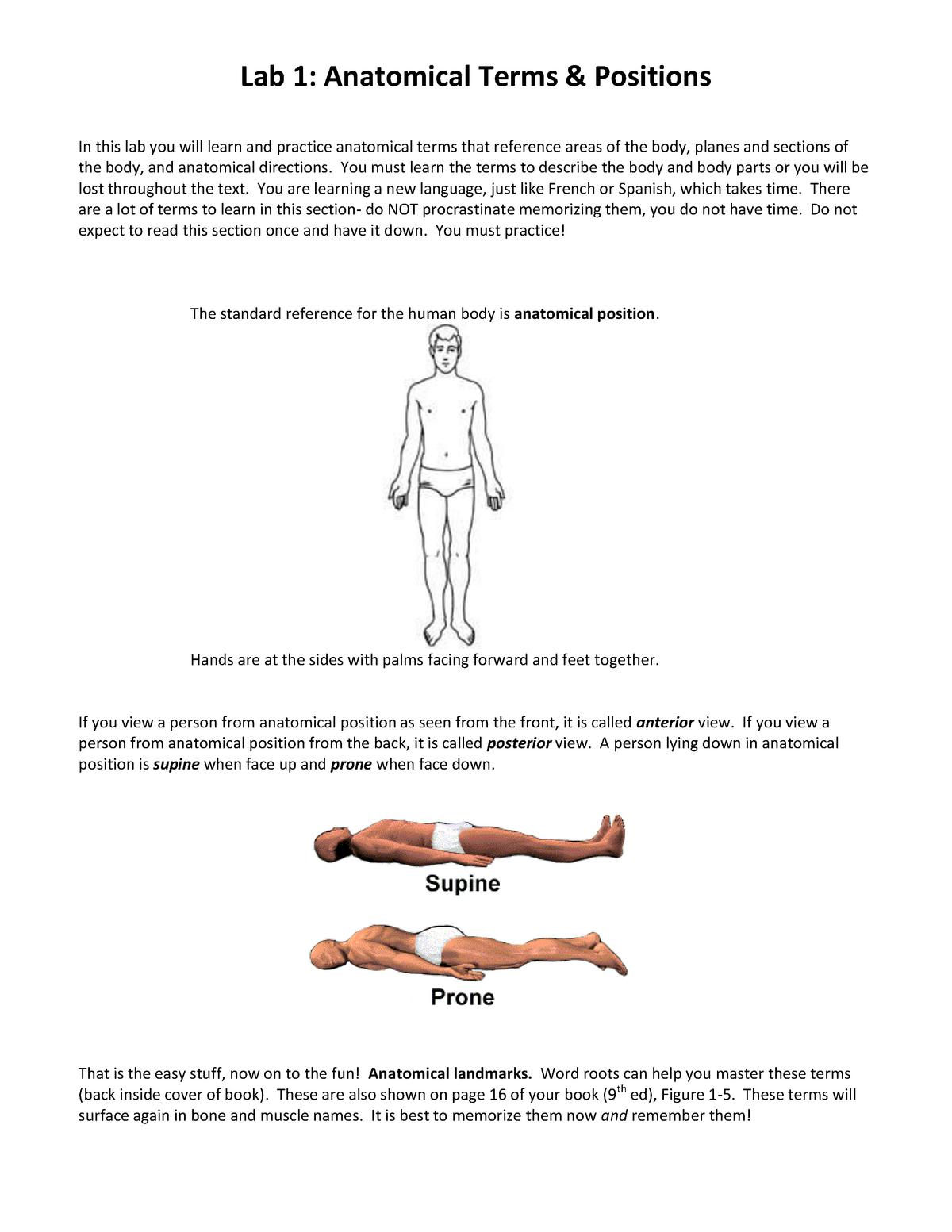 Supine Position, Anatomical Positions, Explained Practically