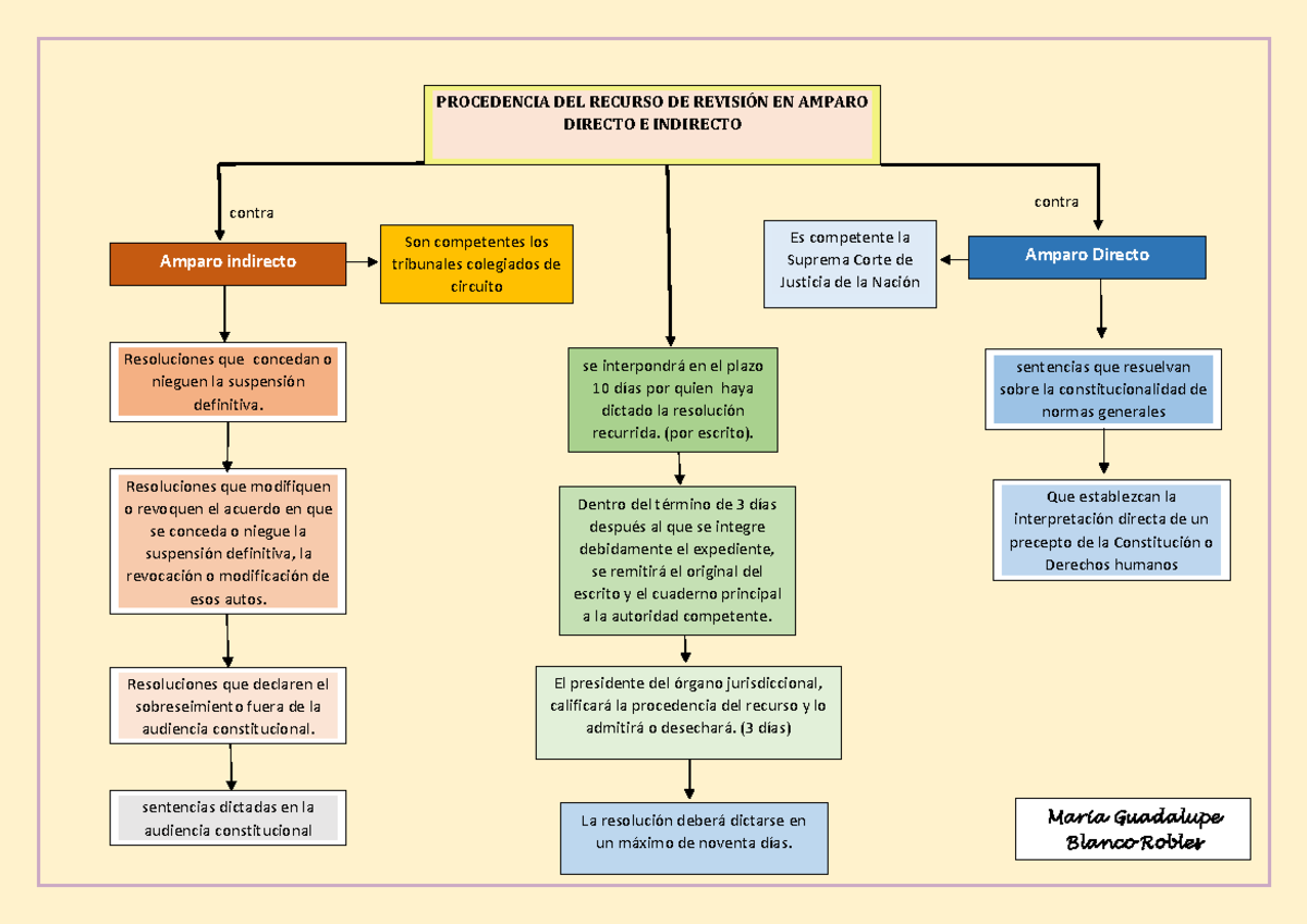 Recurso De Revisi N En Materia De Amparo Procedencia Del Recurso De Revisi N En Amparo Directo