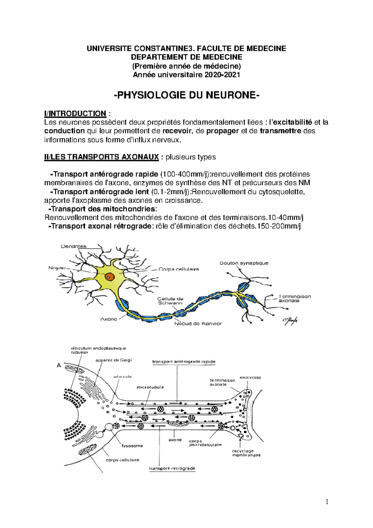 physio-1an-neurone-2021riri-universite-constantine3-faculte-de