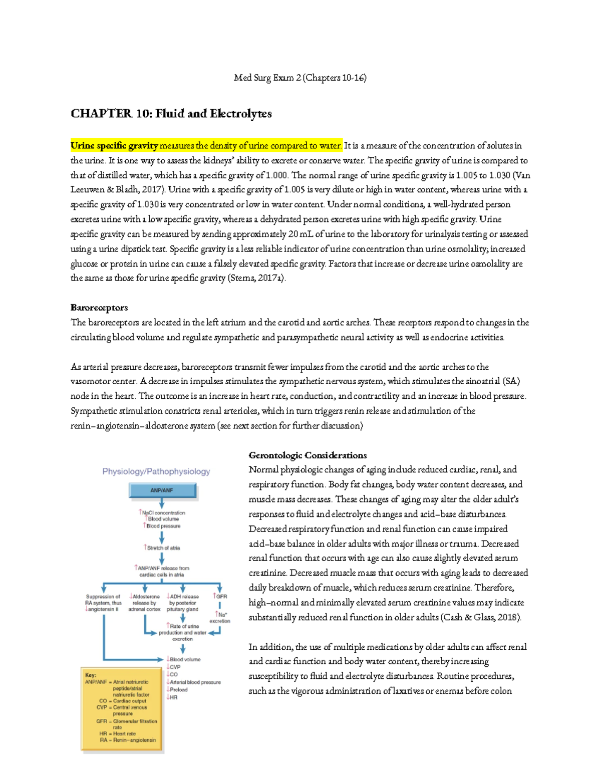 Med Surg Exam 2 (Chapters 10-16) Lecture Notes 2024-2025 - Med Surg ...