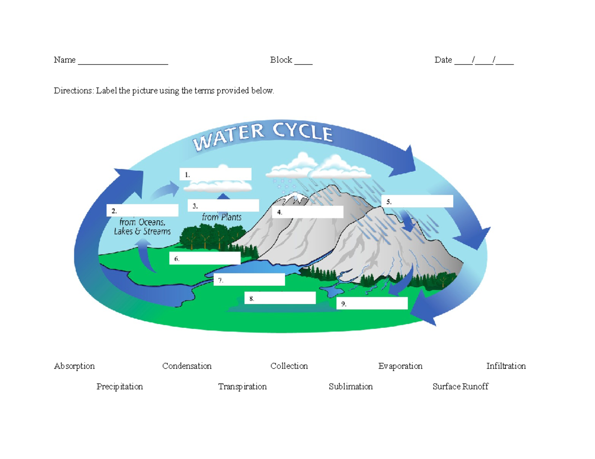 Cycles of Matter Project Worksheet Name ____________________ Block