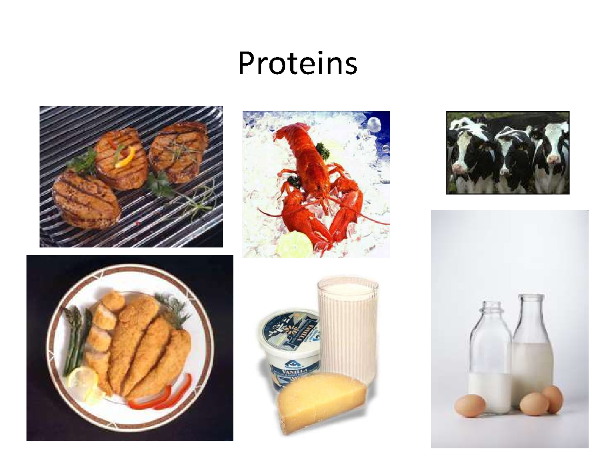 6.2 Proteins SRM UNIVERSITY Proteins What Are Proteins? Proteins
