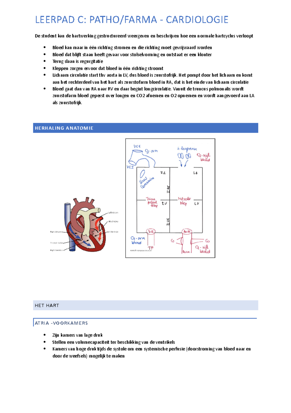 Cardiologie Samenvatting - LEERPAD C: PATHO/FARMA - CARDIOLOGIE De ...