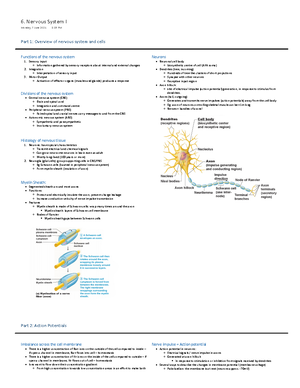 MEDI100 - UOW - Human Structure and Function - Studocu