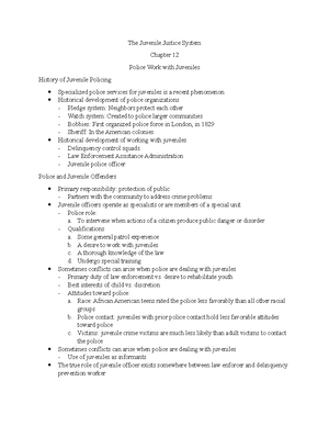 The Juvenile Justice System Chapter 5 - The Juvenile Justice System ...