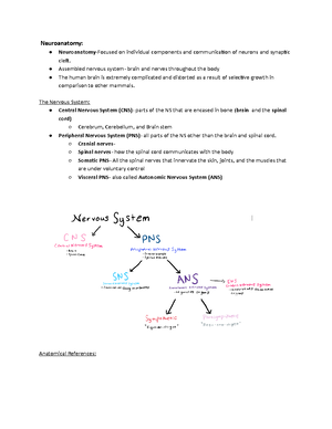 Lecture 5 Synaptic Transmission - Synaptic Transmission: The Synapse ...