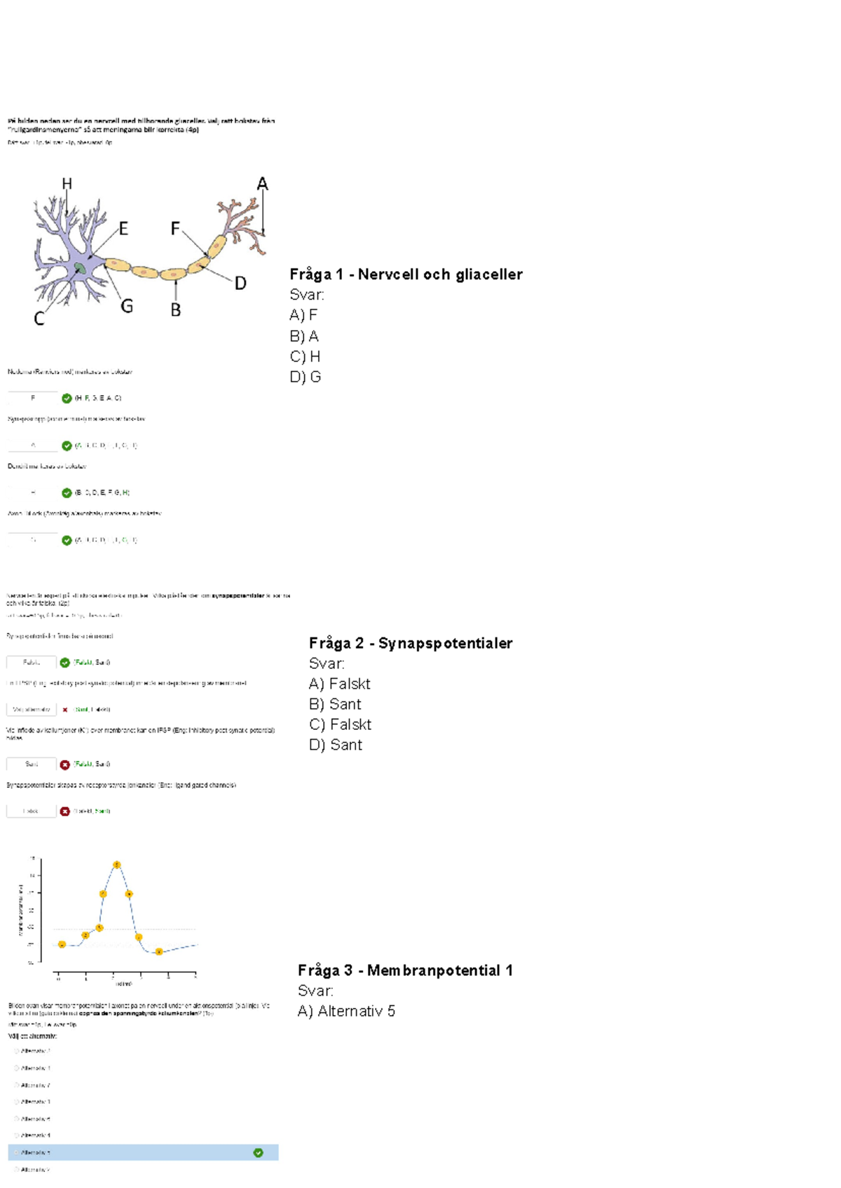 Gamla Tentor - Anatomi Tenta 1 - Fråga 1 - Nervcell Och Gliaceller Svar ...