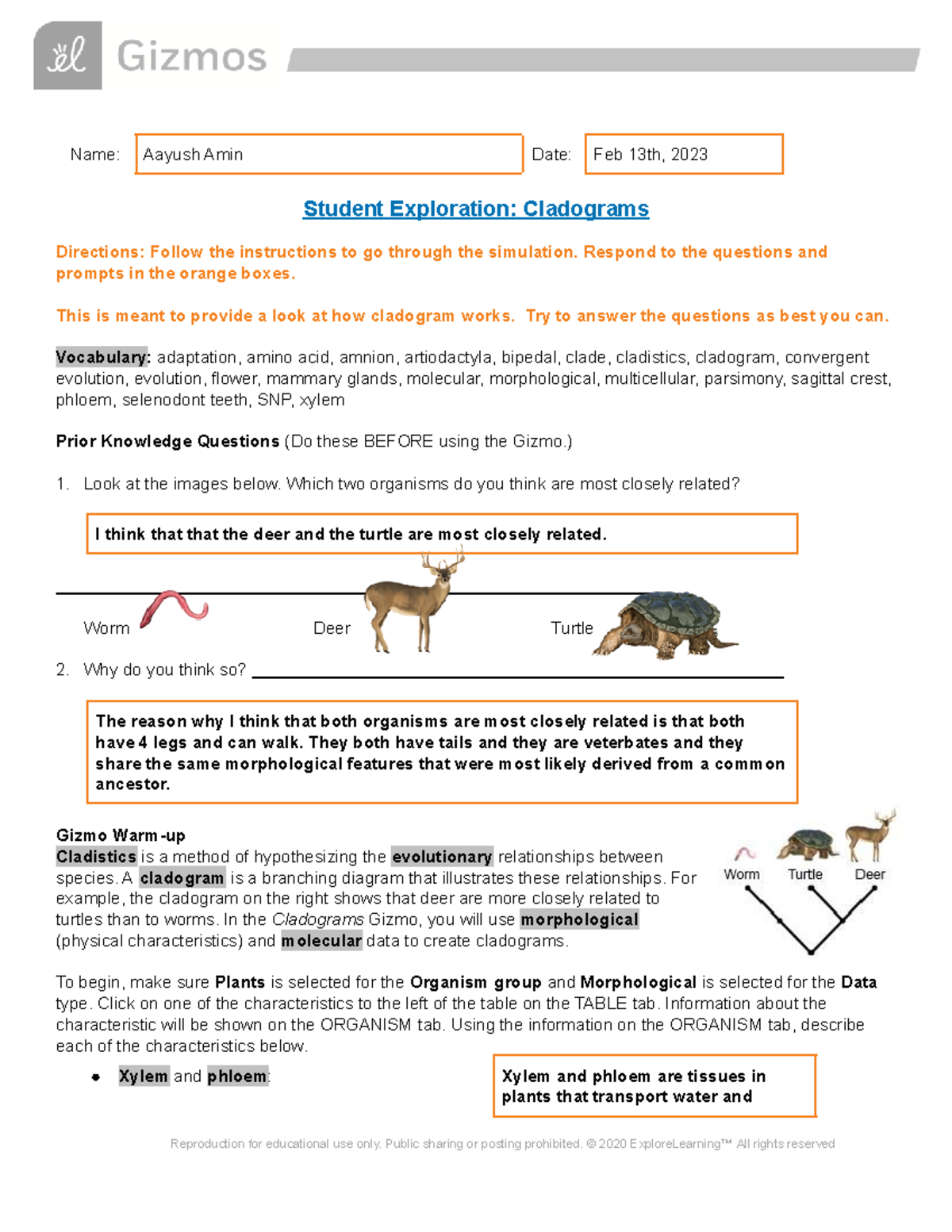 Copy Of Lesson 5 Cladograms Gizmo Worksheet - Name: Aayush Amin Date ...