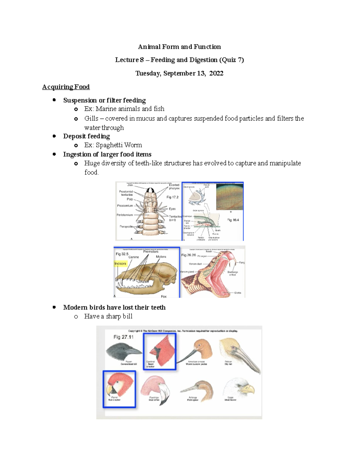 BIOL2371 Lecture 8 Feeding And Digestion - Animal Form And Function ...