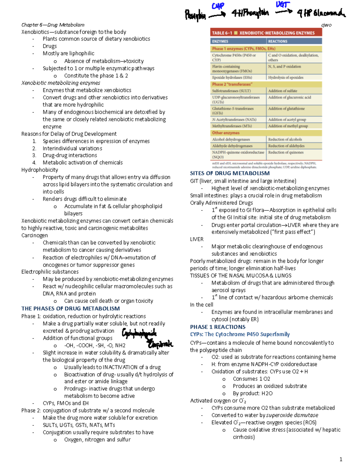 6 Drug Metabolism - Xenobiotics lecture notes - Xenobiotics—substance ...