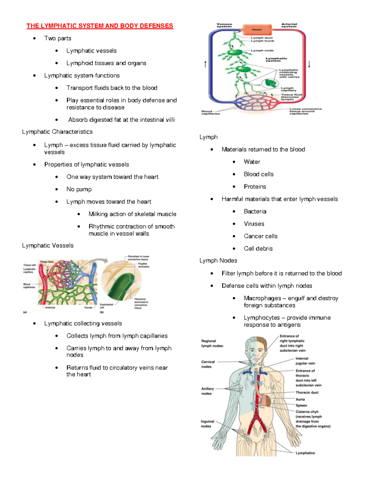 THE Lymphatic System - THE LYMPHATIC SYSTEM AND BODY DEFENSES Two parts ...