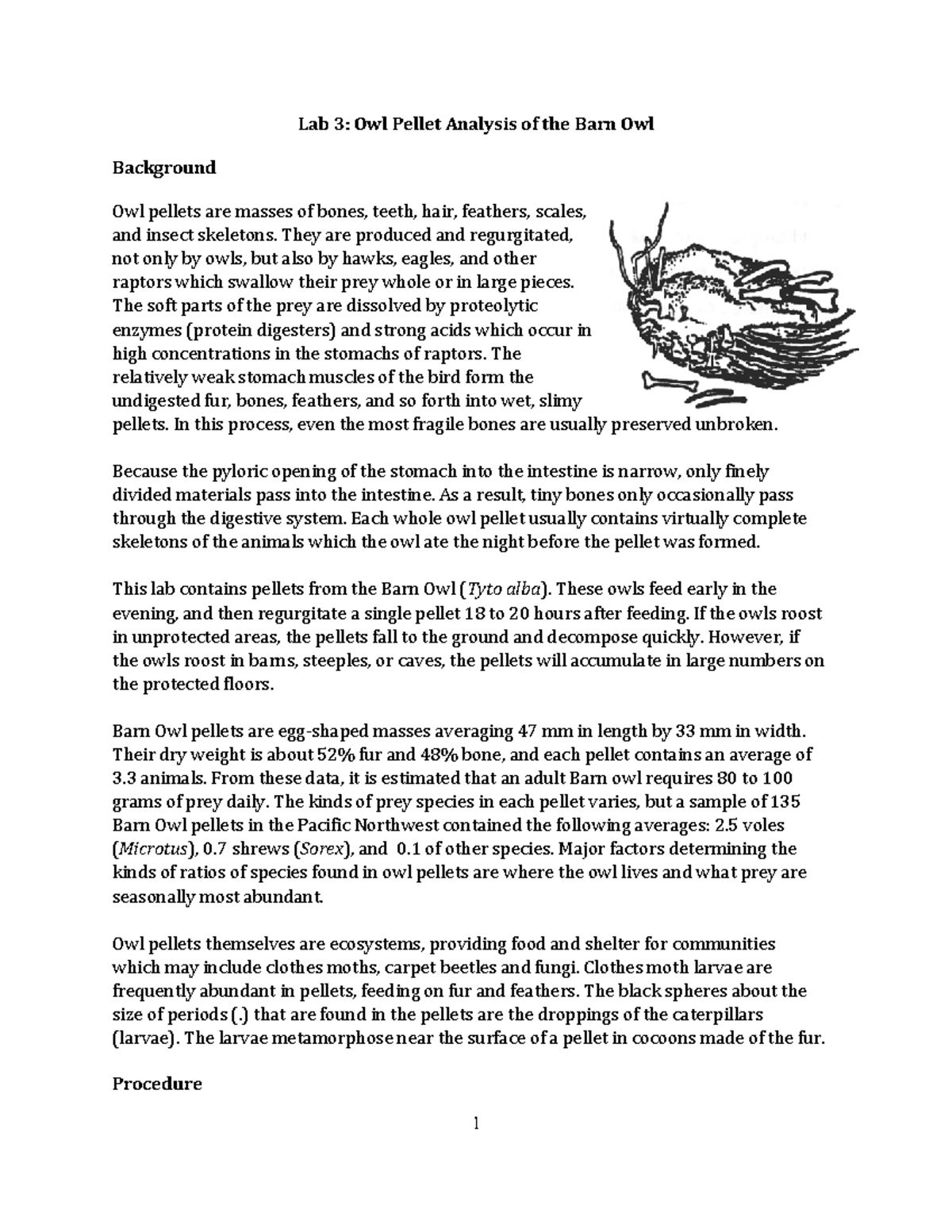 owl-pellet-laboratory-assignment-lab-3-owl-pellet-analysis-of-the