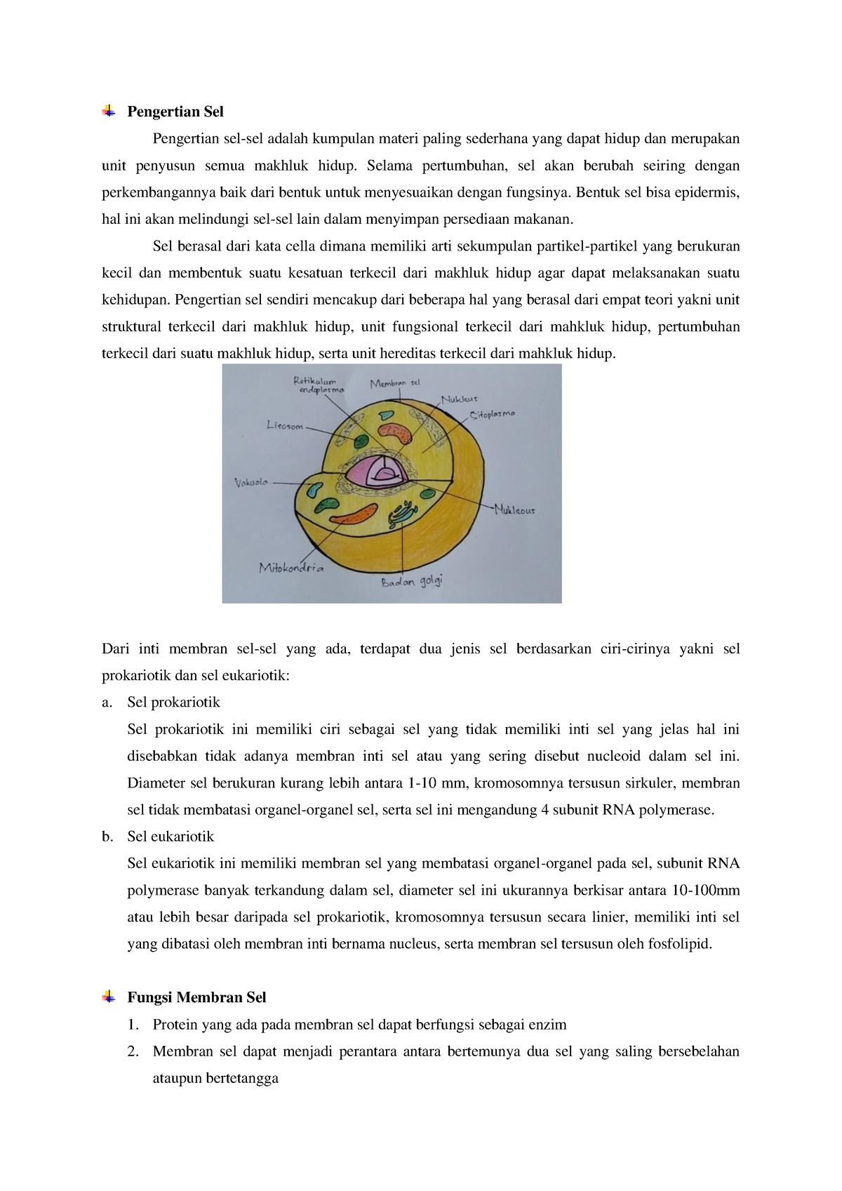 Catatan Sel Biologi - Pengertian Sel Pengertian Sel-sel Adalah Kumpulan ...
