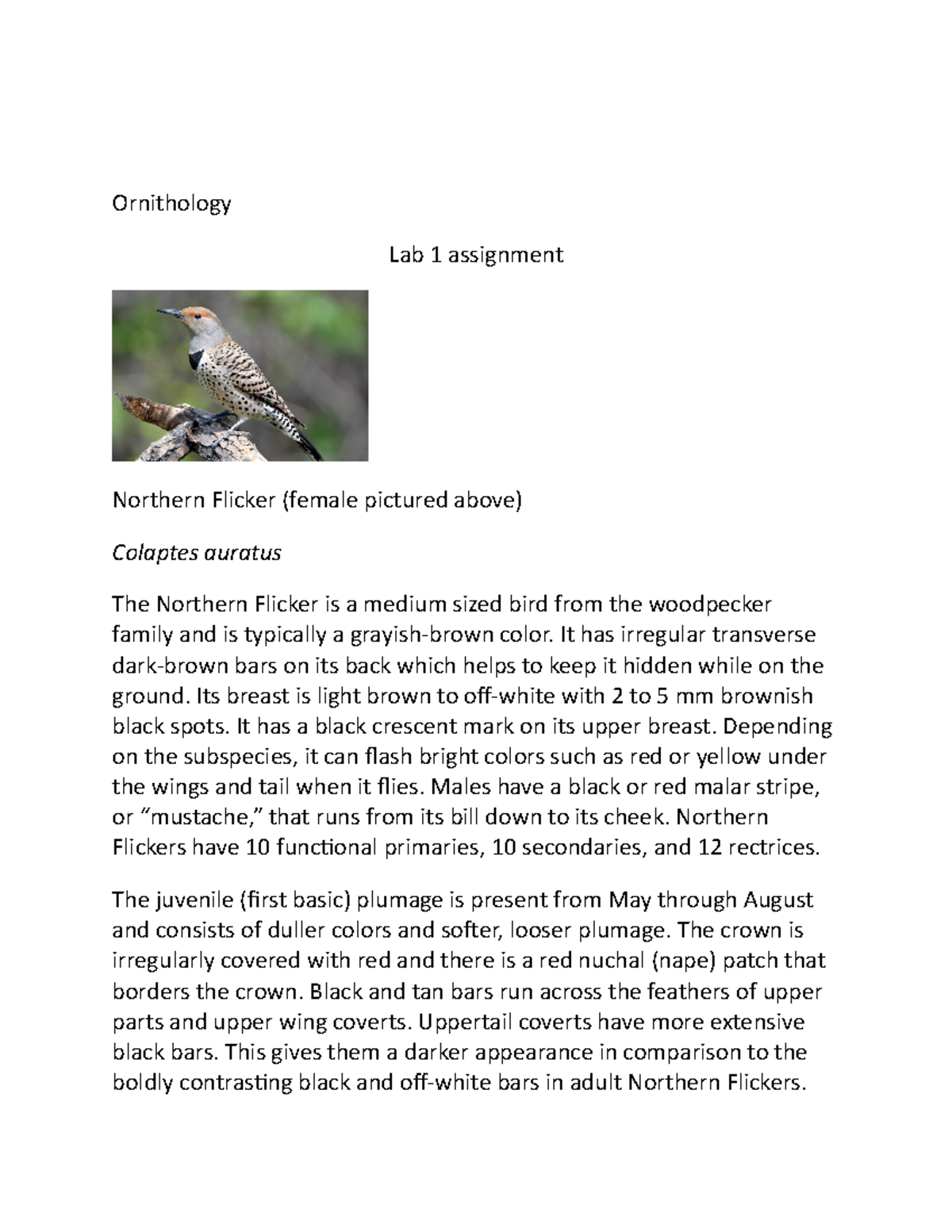 Lab 1 assignment. Bird plumage - Ornithology Lab 1 assignment Northern ...