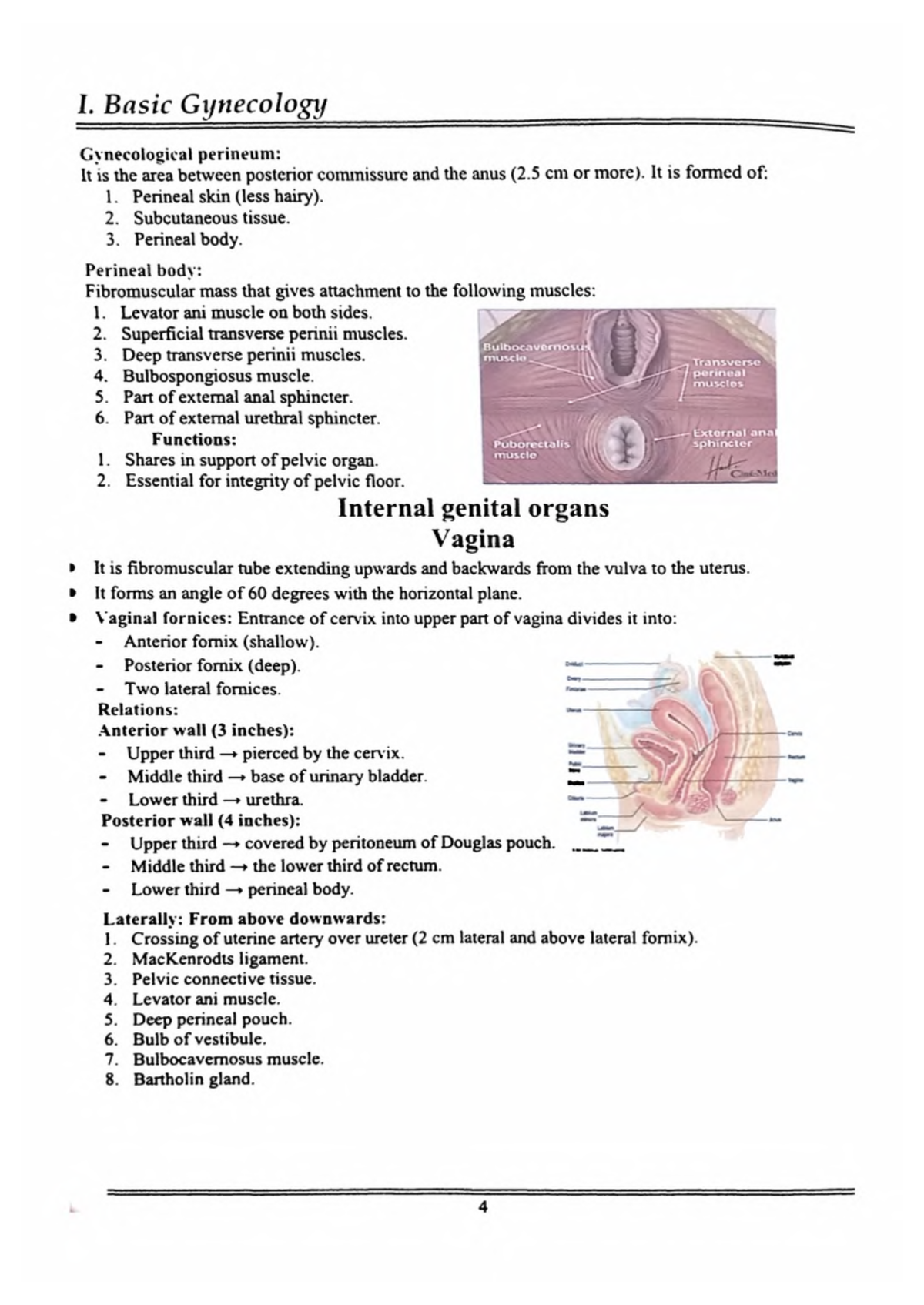 Gynecology Department Book - Gynecological perineum: It is the area ...