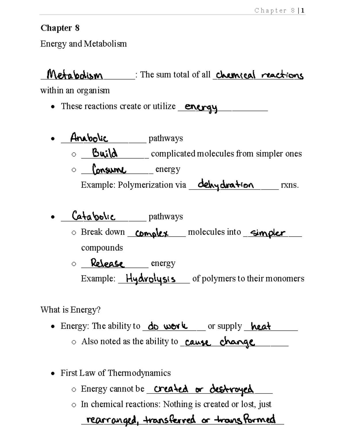 Chapter 8 Notes - Chapter 8 Energy and Metabolism ...