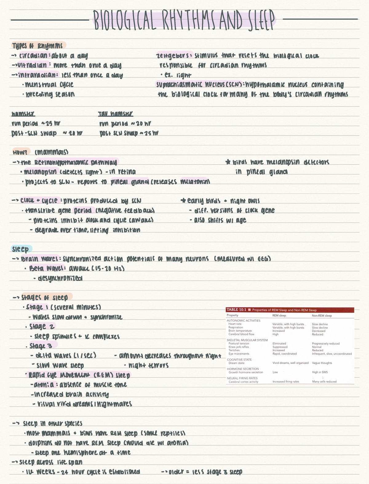 Chapter 10 - Biological Rhythms And Sleep - BIOLOGICAL RHYTHMAND Http ...