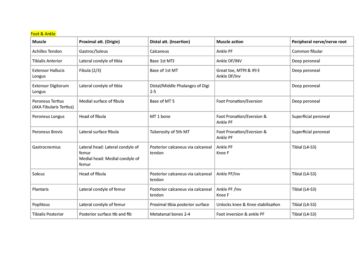 anatomy-foot-ankle-muscle-proximal-att-origin-distal-att