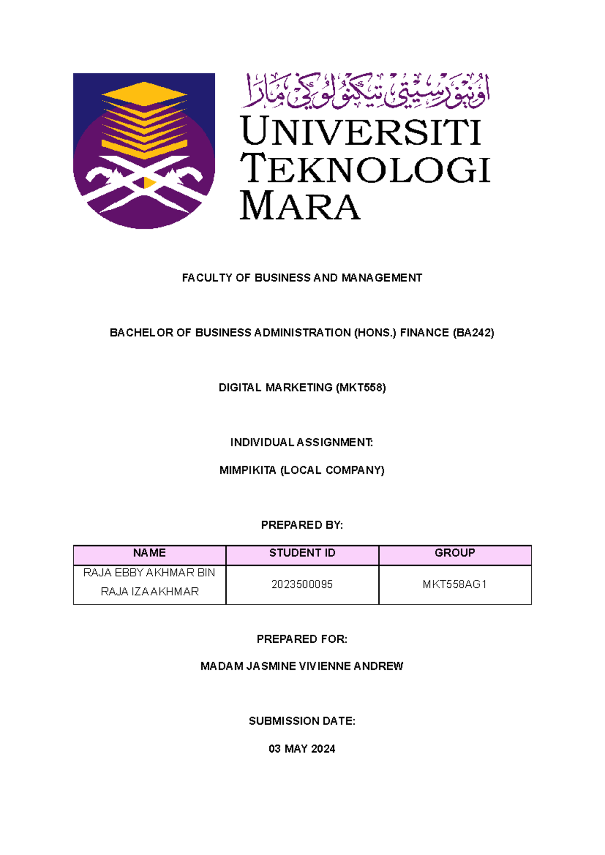 individual assignment mkt558