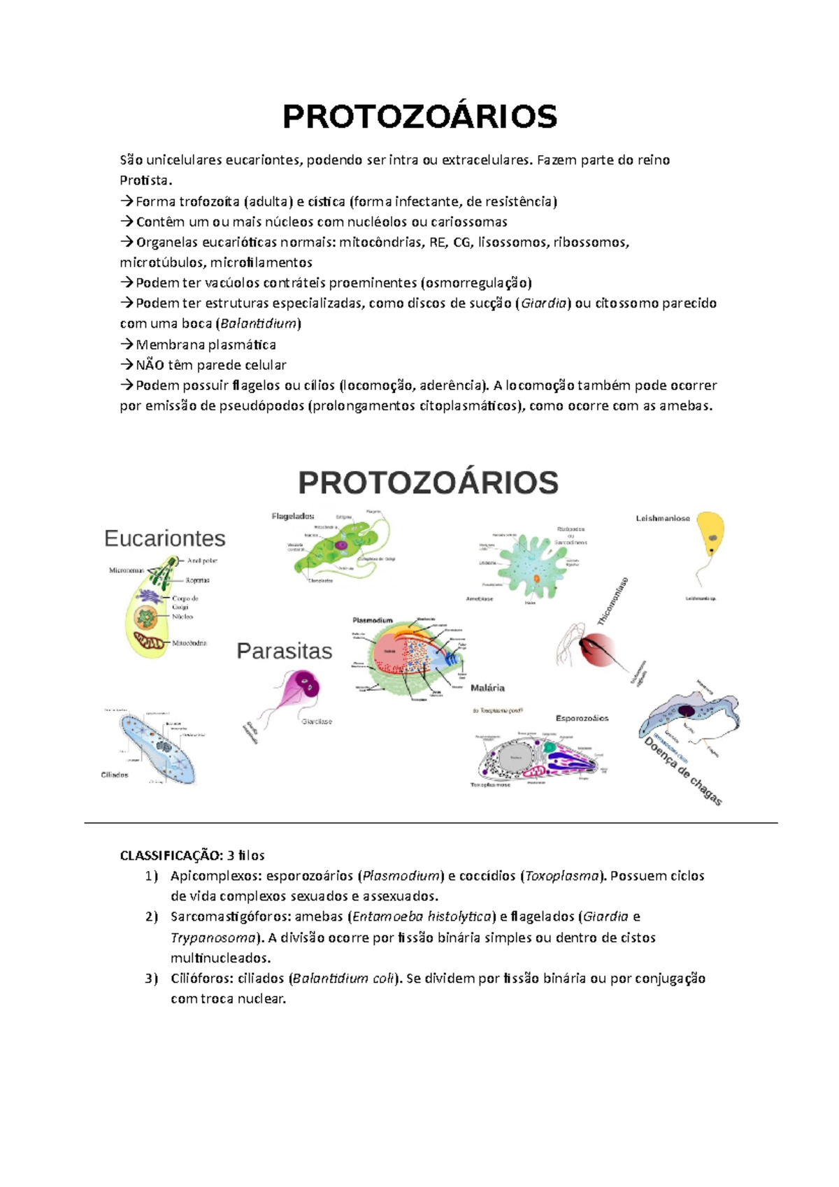 Protozoários - PROTOZOÁRIOS São unicelulares eucariontes, podendo ser ...