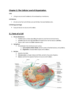 Anaphy-skeletal system review quiz - ANAPHY – Skeletal System True ...