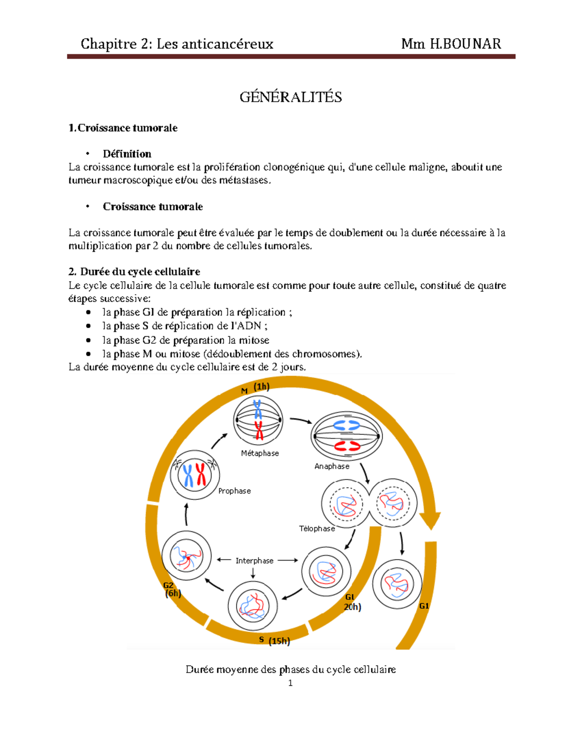 Prolifération Carcinomateuse Definition – GRFZ