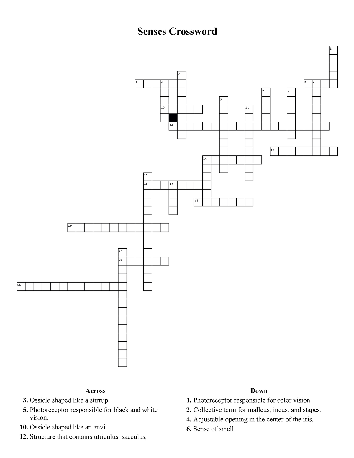 Senses Crossword FA22 This document as well as others posted will