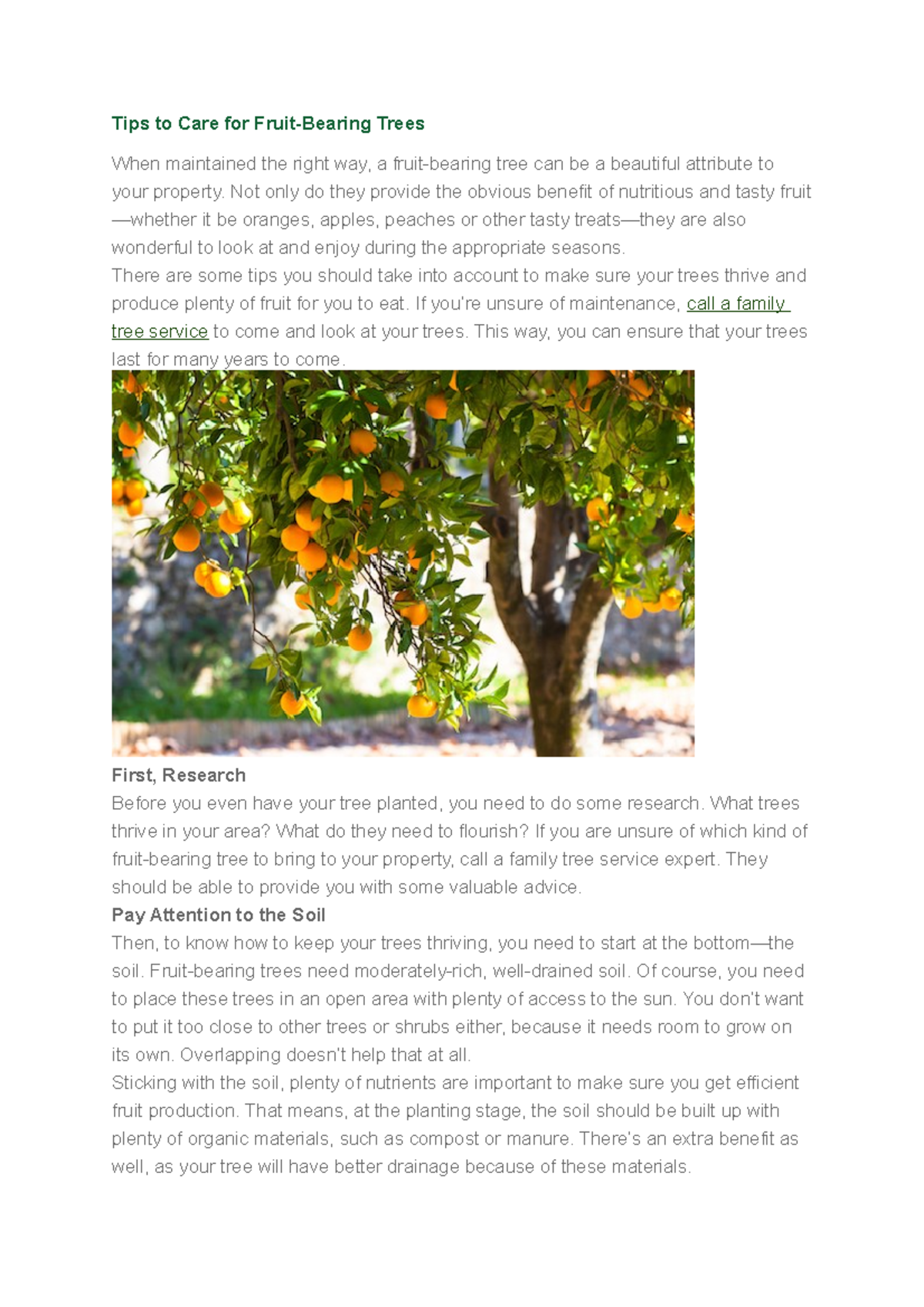 Caring fruit trees Tips to Care for FruitBearing Trees When