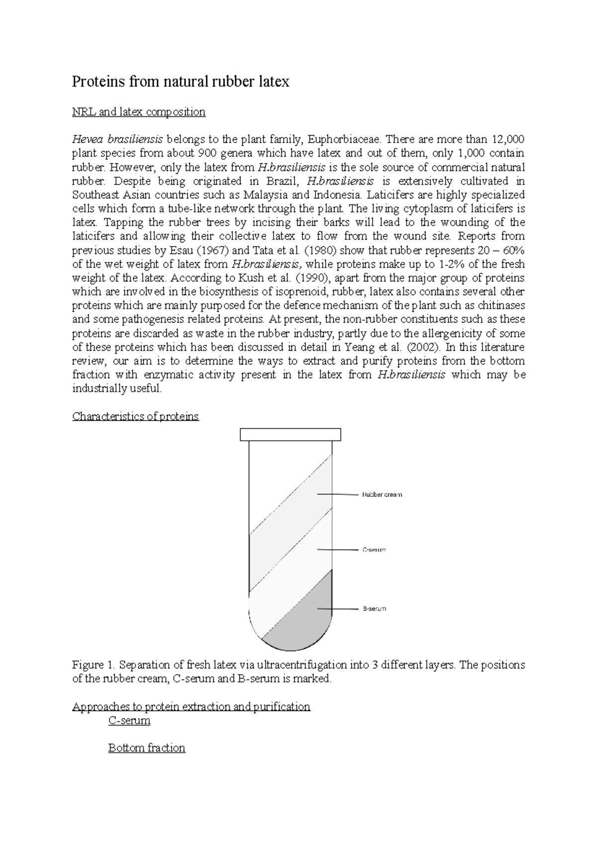 Proteins from natural rubber latex in 2021 Cell and Molecular Biology