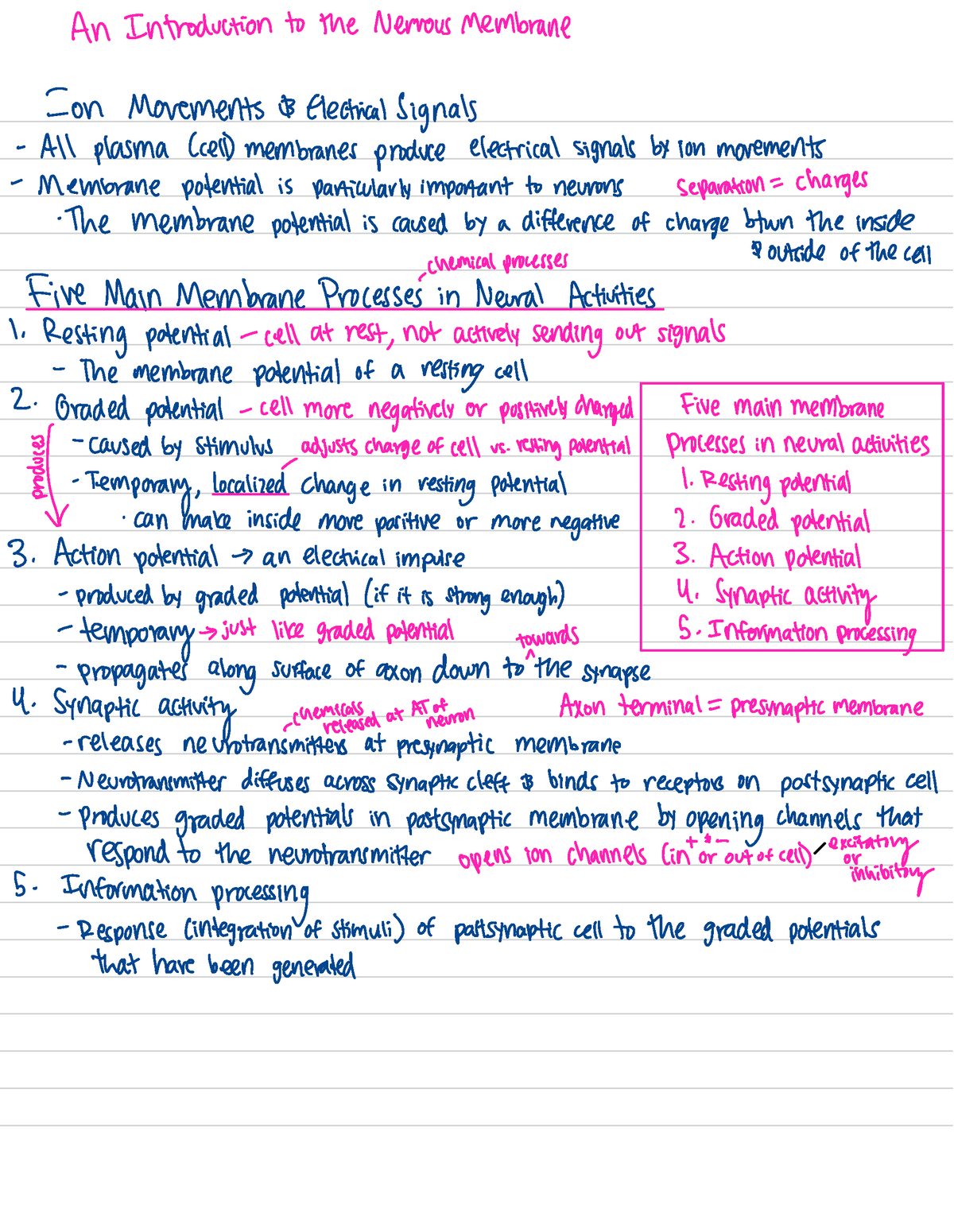 BSC2085 - Lesson 13 - BSC 2085 - Studocu