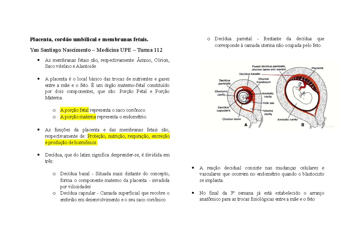 Embriologia - Placenta, cordão umbilical e membranas fetais - Placenta ...