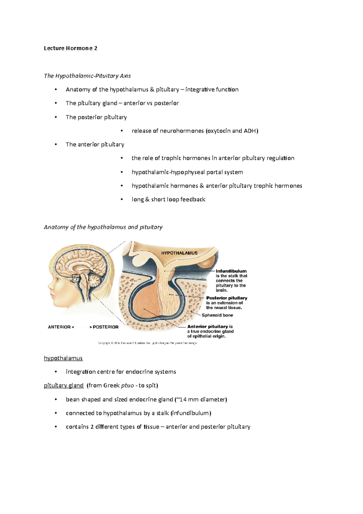 Lecture Hormone 2 - 2) 25,000. Hypothalamic hormones Don’t need to know ...