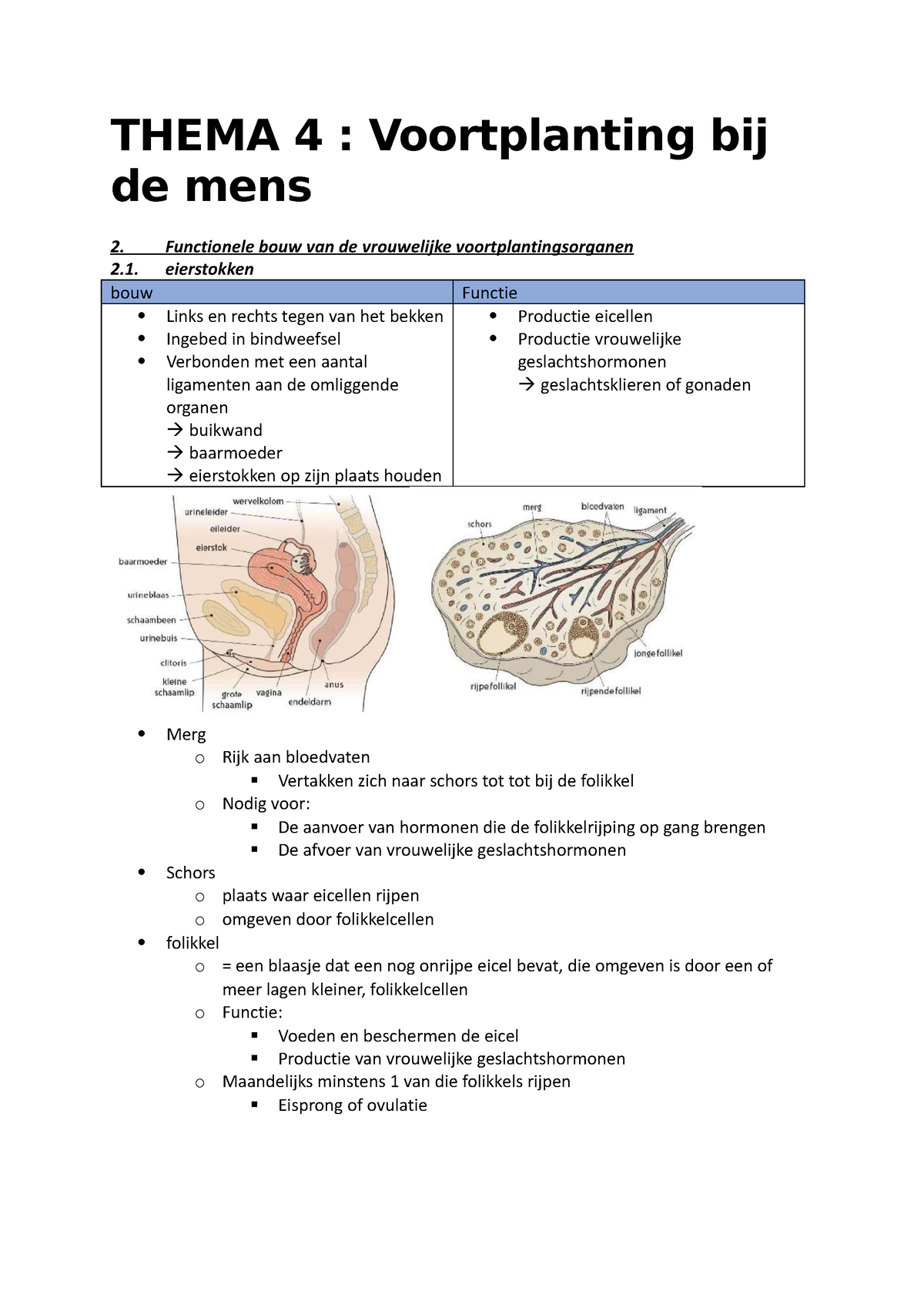 Biologie Thema 4 Thema 4 Voortplanting Bij De Mens Functionele Bouw Van De Vrouwelijke 6322