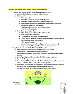 BIO 230 LECT 12 - Lecture notes 12 - Leaves and their modifications ...