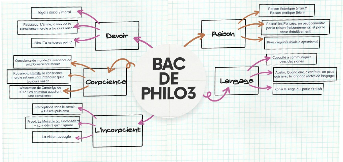 17 Notions Philo Bac 2024 www.studocu.com