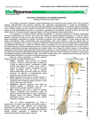 Anatômica Topográfica (Membros Superiores) - medresumos.com ANATOMIA  TOPOGRÁFICA DO MEMBRO SUPERIOR - Studocu