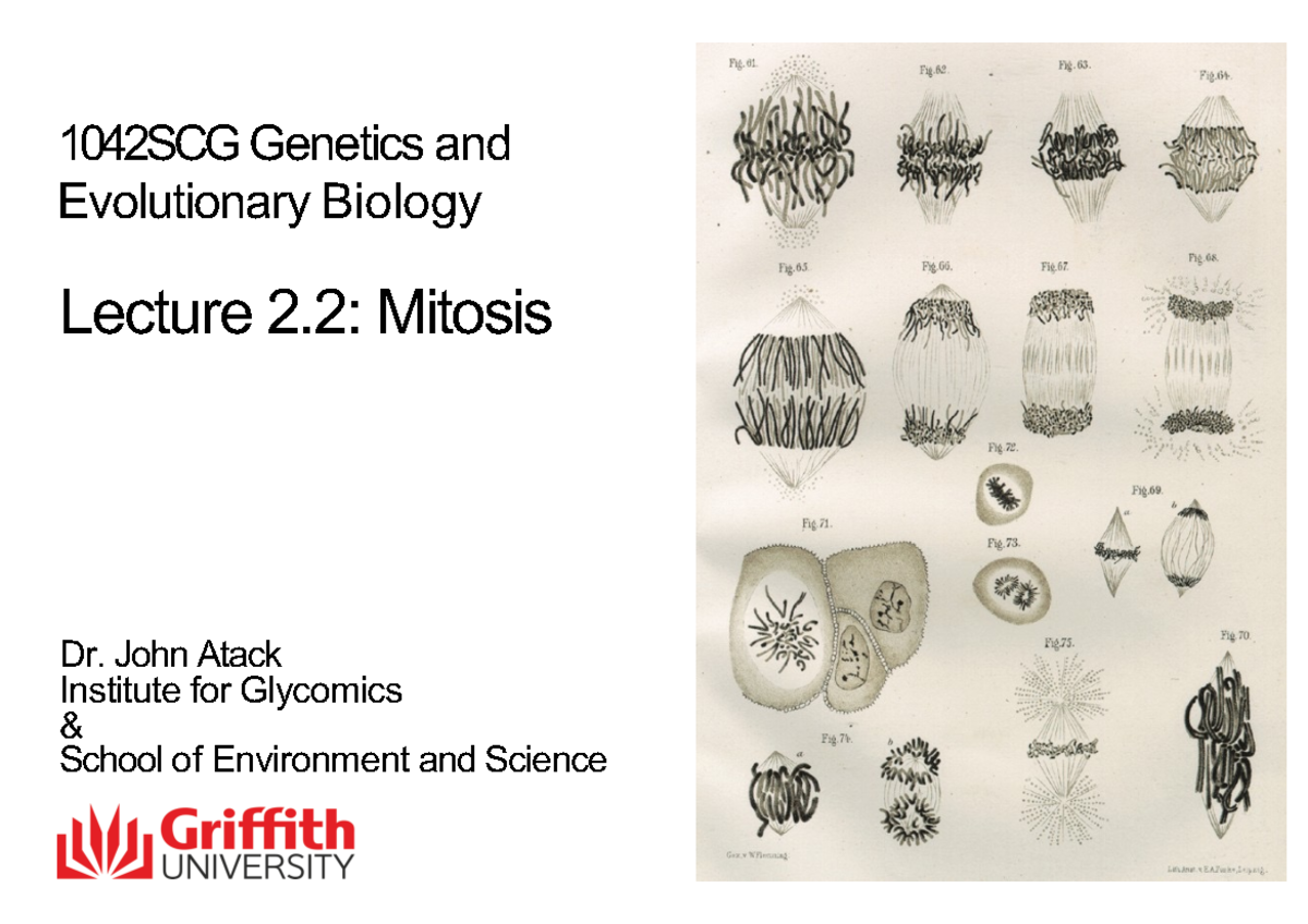 Lecture 2-2 - Genetics - 1042SCG Genetics And Evolutionary Biology ...