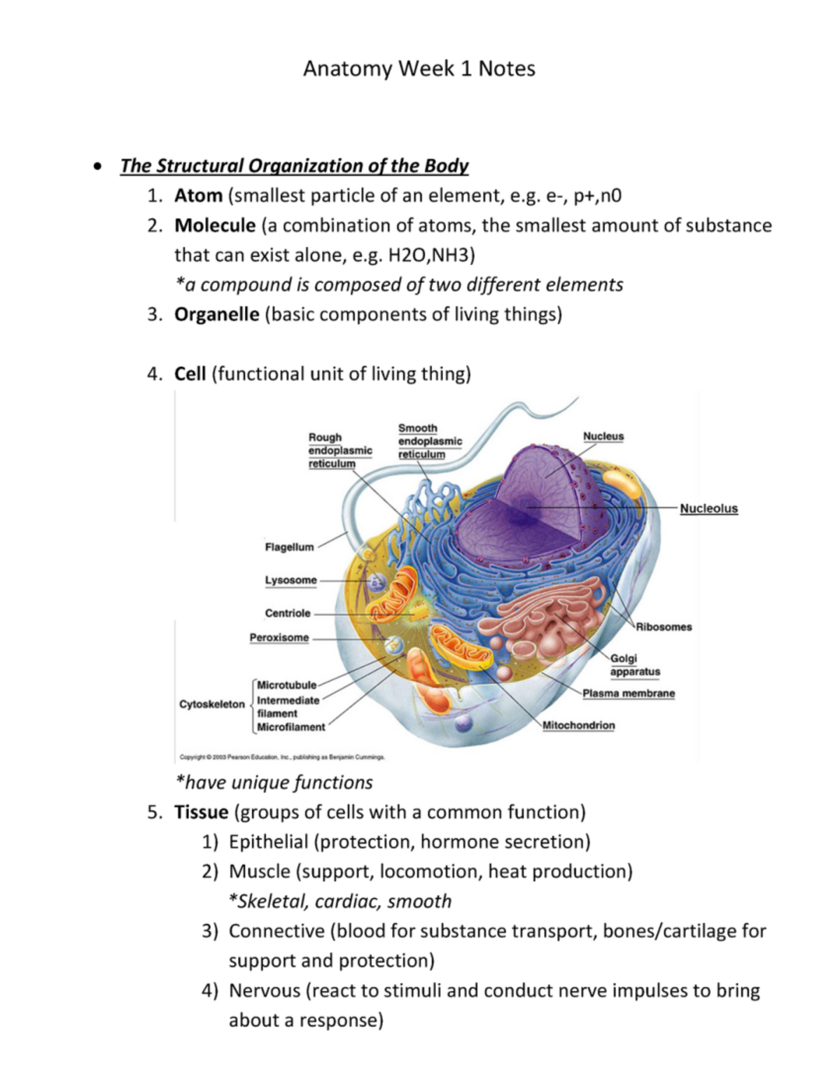 Anatomy Week 1 Notes - BIOL 215 - Studocu