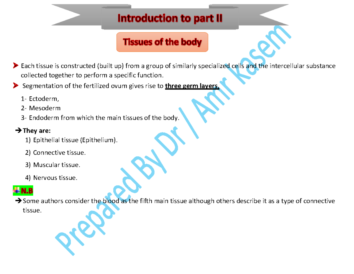 Hist (Blood) - Each tissue is constructed (built up) from a group of ...