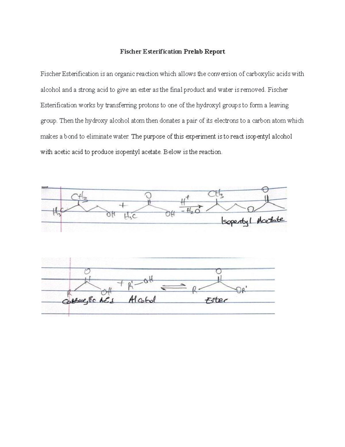 Fischer Esterification Prelab Report - Fischer Esterification Prelab ...
