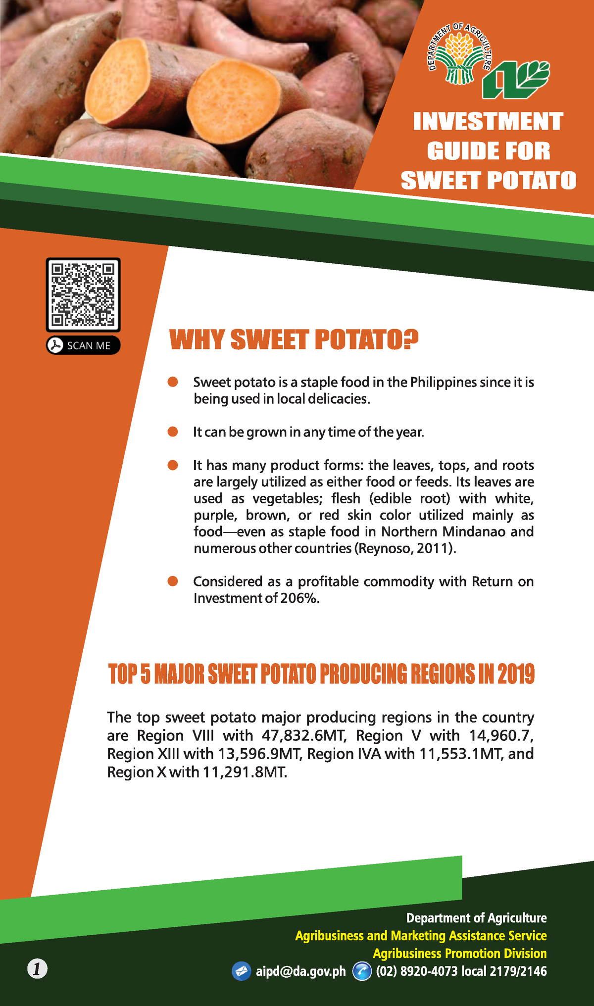 sweet potato business plan