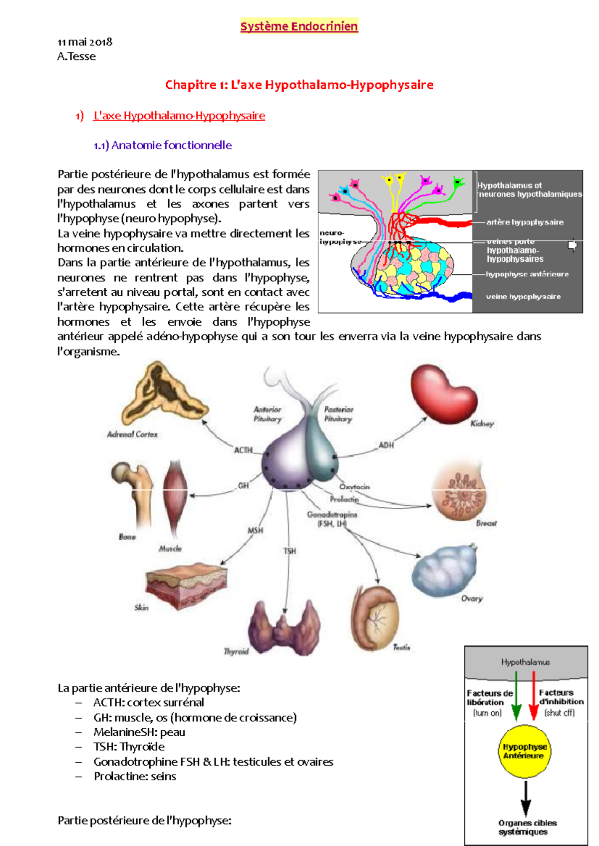 Ch1 Axe Hypotha-Hypophy - Système Endocrinien 11 mai 2018 A Chapitre 1 ...