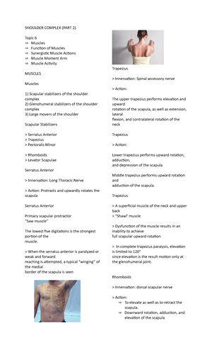 Shoulder Complex - Lecture (Part 1) - KINESIOLOGY FOR OT LECTURE ...